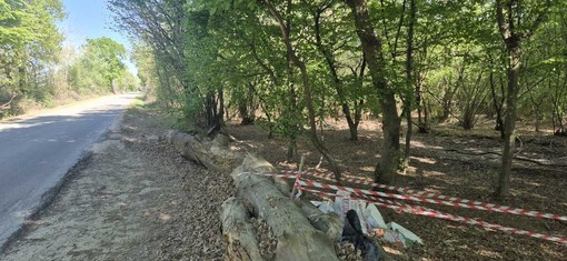 Incivili tornano a colpire in Baraggia: ritrovati resti di calcinacci e mattoni Incivili tornano a colpire in Baraggia: ritrovati resti di calcinacci e mattoni