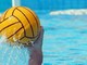 Anno di svolta per la società di pallanuoto Dynamic Sport Biella con la nascita della squadra giovanile femminile Anno di svolta per la società di pallanuoto Dynamic Sport Biella con la nascita della squadra giovanile femminile