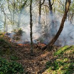 Fiamme a Pollone fuori dal Parco della Burcina, intervento di AIB e Vigili del Fuoco VIDEO