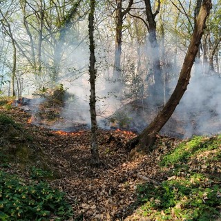 Fiamme a Pollone fuori dal Parco della Burcina, intervento di AIB e Vigili del Fuoco VIDEO