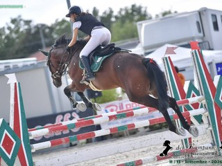 Equitazione: tre amazzoni biellesi alle finali nazionali di Cattolica, Alice Ferri in azione Equitazione: tre amazzoni biellesi alle finali nazionali di Cattolica, Alice Ferri in azione