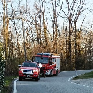 Forte vento provoca disagi, a Valdilana cavo elettrico a terra: causa principio incendio e blackout in alcune frazioni