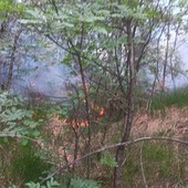 Spento in serata l’incendio boschivo tra i comuni di Curino e Sostegno