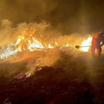 Baraggia in fiamme, il danno ambientale è rilevante: un appello alla responsabilità