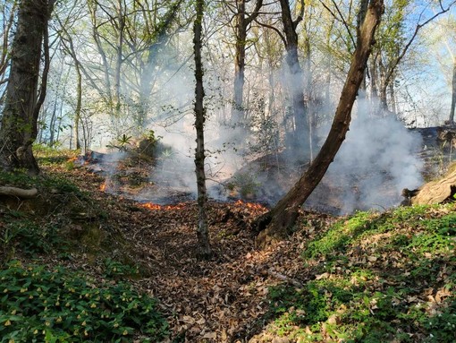 Fiamme a Pollone fuori dal Parco della Burcina, intervento di AIB e Vigili del Fuoco VIDEO