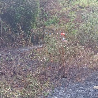 A fuoco un bosco, scatta l’allarme a Veglio FOTO