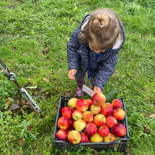 I bambini della Lorenzo Cucco in visita al meleto di Gifflenga I bambini della Lorenzo Cucco in visita al meleto di Gifflenga