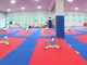 ippon 2 karate