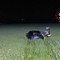 Dal Nord Ovest – Auto finisce nella risaia in piena notte Dal Nord Ovest – Auto finisce nella risaia in piena notte