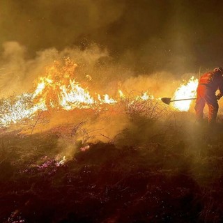 Baraggia in fiamme, il danno ambientale è rilevante: un appello alla responsabilità