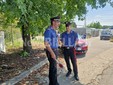 Scontro tra due auto a Biella in via Candelo: donna in ospedale Scontro tra due auto a Biella in via Candelo: donna in ospedale