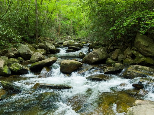 Caldo nel Biellese, ecco le 5 mete “fresche” tra natura, valli e torrenti Caldo nel Biellese, ecco le 5 mete “fresche” tra natura, valli e torrenti