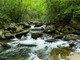 Caldo nel Biellese, ecco le 5 mete “fresche” tra natura, valli e torrenti Caldo nel Biellese, ecco le 5 mete “fresche” tra natura, valli e torrenti