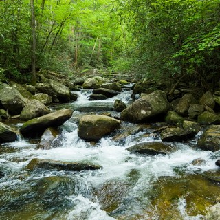 Caldo nel Biellese, ecco le 5 mete “fresche” tra natura, valli e torrenti