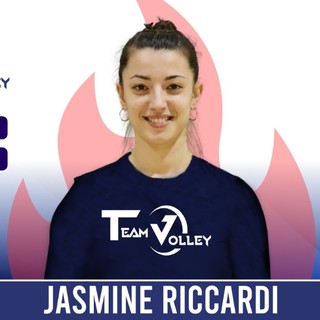 teamvolley