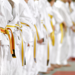 Salussola: open day di karate aperto a tutti