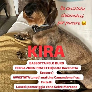 Appello urgente: chi ha visto Kira?