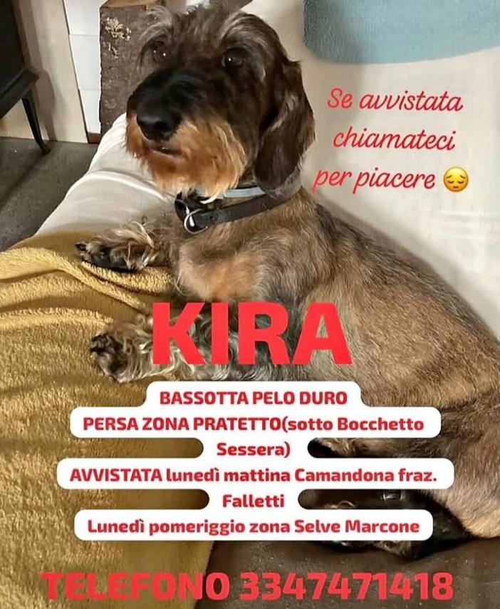 Appello urgente: chi ha visto Kira? Appello urgente: chi ha visto Kira?