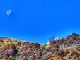 La Luna illumina le Selle di Rosazza: lo spettacolo del cielo nel Biellese FOTO Paolo Rosazza Pela La Luna illumina le Selle di Rosazza: lo spettacolo del cielo nel Biellese FOTO Paolo Rosazza Pela