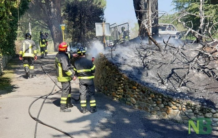Incendio a Cossato, rogo al Living Garden: veicoli carbonizzati e vegetazione bruciata - Servizio di Mauro Benedetti