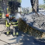 Incendio a Cossato, rogo al Living Garden: veicoli carbonizzati e vegetazione bruciata - Servizio di Mauro Benedetti