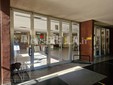 Liceo Sella di Biella, non solo latino e greco: arriva “Esplorando! Scienziati per un giorno” Liceo Sella di Biella, non solo latino e greco: arriva “Esplorando! Scienziati per un giorno”