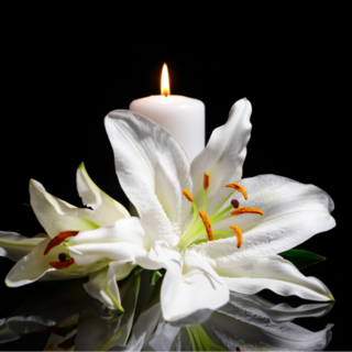 Lidia Manera in Rossetto, Anniversario