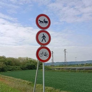 Una foto - appello dei runner Biellesi: "Non possono chiuderci tutte le strade" Una foto - appello dei runner Biellesi: "Non possono chiuderci tutte le strade"