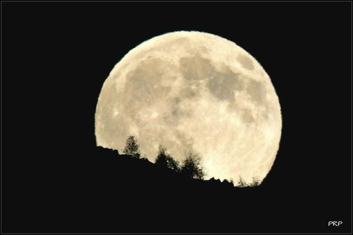La “Luna del Cacciatore” nei cieli biellesi, lo scatto di Paolo Rosazza Pela La “Luna del Cacciatore” nei cieli biellesi, lo scatto di Paolo Rosazza Pela
