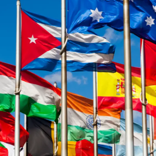 Carriere pubbliche e nuove competenze: come orientarsi tra studi politici e istituzionali