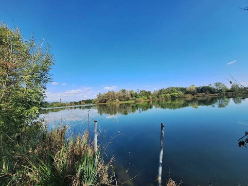 Dal Nord Ovest - Si tuffa nel laghetto e rischia di annegare, commerciante salva un bimbo di 6 anni (foto di repertorio) Dal Nord Ovest - Si tuffa nel laghetto e rischia di annegare, commerciante salva un bimbo di 6 anni (foto di repertorio)