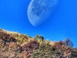 La Luna illumina le Selle di Rosazza: lo spettacolo del cielo nel Biellese FOTO Paolo Rosazza Pela La Luna illumina le Selle di Rosazza: lo spettacolo del cielo nel Biellese FOTO Paolo Rosazza Pela