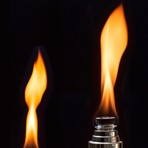 donato fiaccolata donato fiaccolata