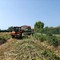 Mongrando, al via pulizia del torrente Vobbia: acquistate anche le nuove attrezzature per la Protezione Civile (foto dalla pagina Facebook di Insieme per Mongrando - Michele Teagno sindaco) Mongrando, al via pulizia del torrente Vobbia: acquistate anche le nuove attrezzature per la Protezione Civile (foto dalla pagina Facebook di Insieme per Mongrando - Michele Teagno sindaco)