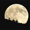 La “Luna del Cacciatore” nei cieli biellesi, lo scatto di Paolo Rosazza Pela La “Luna del Cacciatore” nei cieli biellesi, lo scatto di Paolo Rosazza Pela