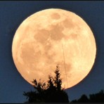 Luna Rosa nei cieli di Biella, gli scatti di Paolo Rosazza Pela