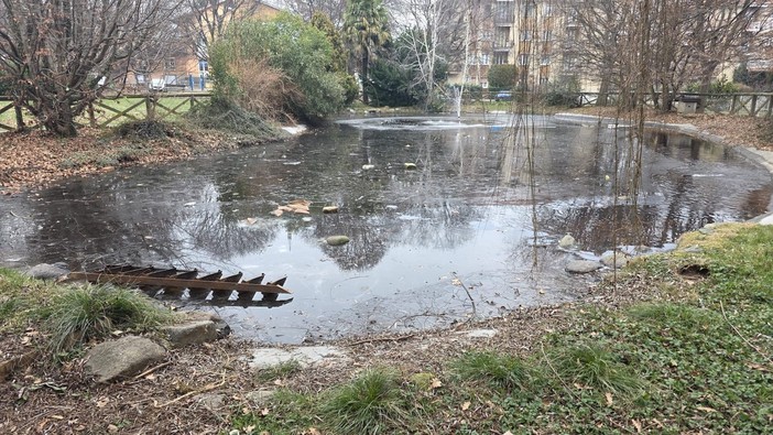 Biella, aggressione al laghetto di via Friuli: anziani accerchiati e colpiti da un gruppo di minorenni. I residenti chiedono più sicurezza