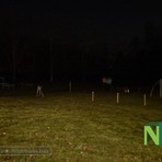 Biella, al buio giardini Arequipa e parco Regione Croce. Il Comune: "Al lavoro per la risoluzione"