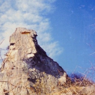 camminare spasso
