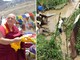 Nepal, continua l’emergenza. Parla il Lama Paljin Tulku Rinpoce: “Una tragedia infinita” Nepal, continua l’emergenza. Parla il Lama Paljin Tulku Rinpoce: “Una tragedia infinita”