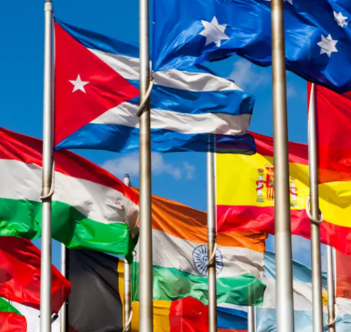 Carriere pubbliche e nuove competenze: come orientarsi tra studi politici e istituzionali