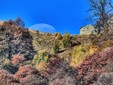 La Luna illumina le Selle di Rosazza: lo spettacolo del cielo nel Biellese FOTO Paolo Rosazza Pela La Luna illumina le Selle di Rosazza: lo spettacolo del cielo nel Biellese FOTO Paolo Rosazza Pela