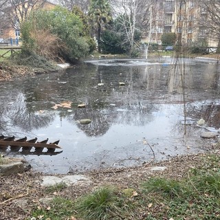 Biella, aggressione al laghetto di via Friuli: anziani accerchiati e colpiti da un gruppo di minorenni. I residenti chiedono più sicurezza