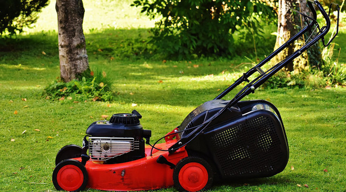 Macchine da giardinaggio usate: come scegliere bene e risparmiare