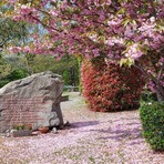 Muzzano celebra il 25 Aprile: in programma le commemorazioni per l’81° anniversario della Liberazione