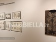 Biella, al Palazzone la mostra dedicata ad Antonio Bueno FOTO e VIDEO Mattia Baù per newsbiella.it