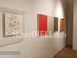 Biella, al Palazzone la mostra dedicata ad Antonio Bueno FOTO e VIDEO Mattia Baù per newsbiella.it