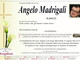 Angelo Madrigali