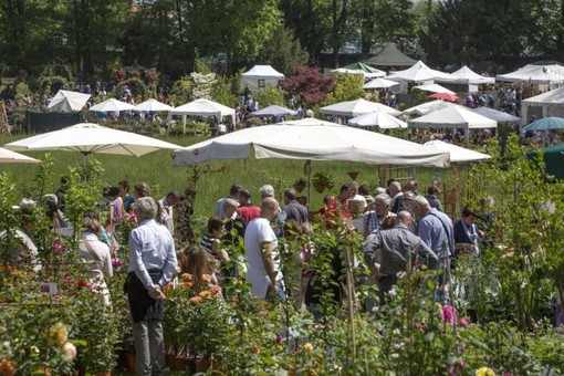 Oasi Zegna partecipa alla mostra floro vivaistica al Castello di Masino Oasi Zegna partecipa alla mostra floro vivaistica al Castello di Masino