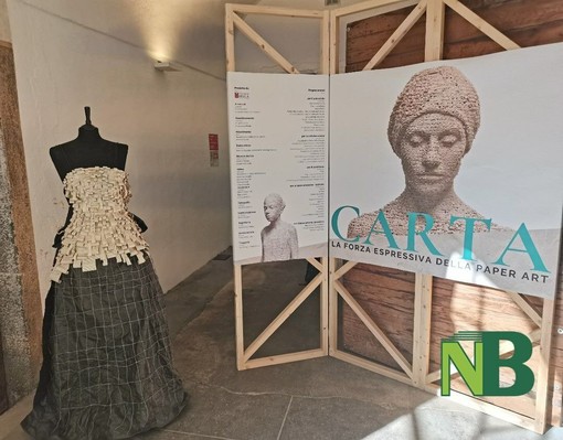 Biella, dal 25 ottobre apre al pubblico la mostra “Carta. La forza espressiva della Paper Art” FOTO